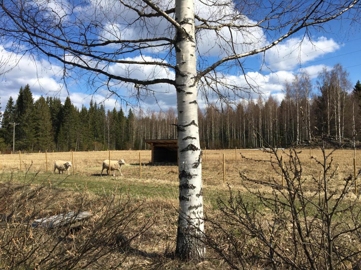 Kivirannan tupa Villa Ylivieska Luaran gambar