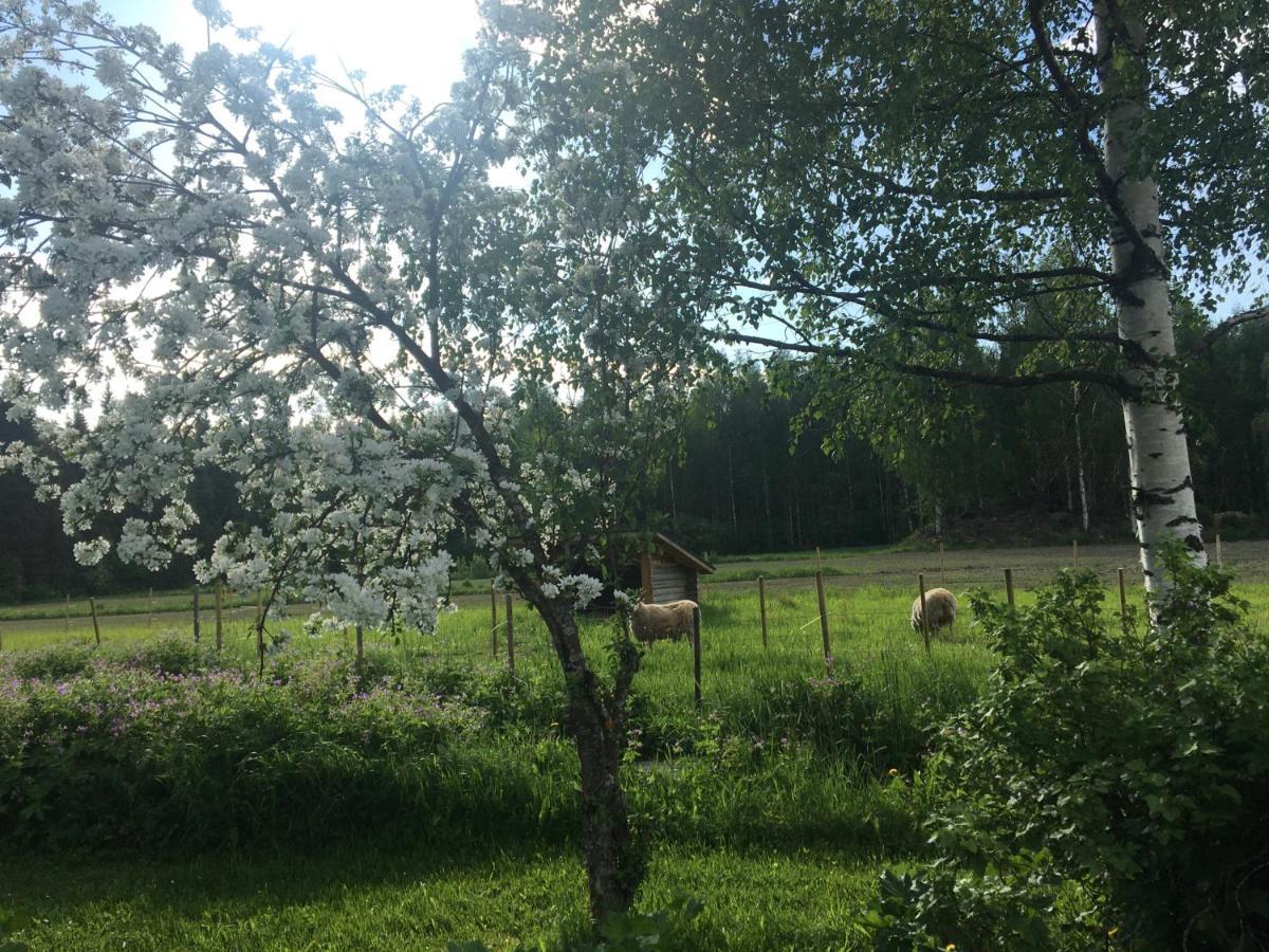 Kivirannan tupa Villa Ylivieska Luaran gambar